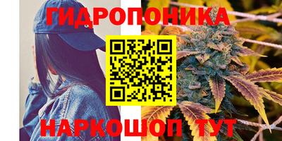ECSTASY Новодвинск