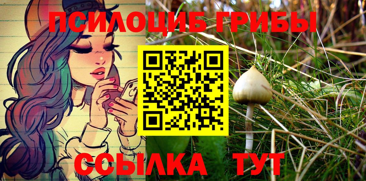 Соликамск  Псилоцибиновые грибы Magic Shrooms  где можно купить наркотик  Галлюциногенные грибы Psilocybine cubensis  Вход с VPN 